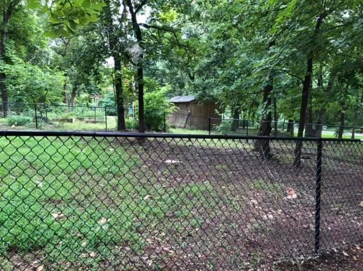 Black vinyl-coated chain link fence along a backyard from a chain link fence company near me Tulsa, OK